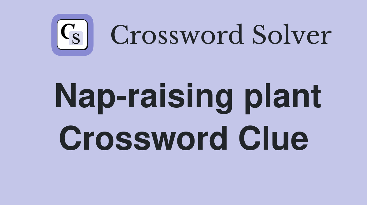 Nap-raising plant Crossword Clue