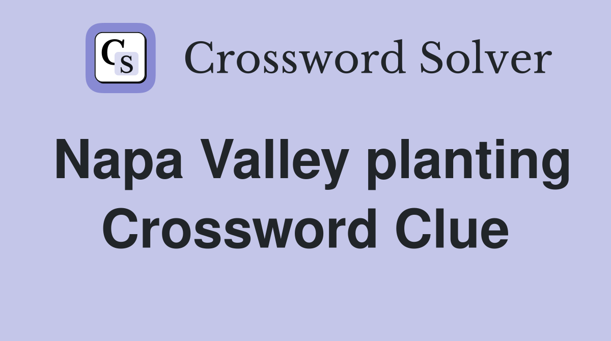 Napa Valley planting Crossword Clue