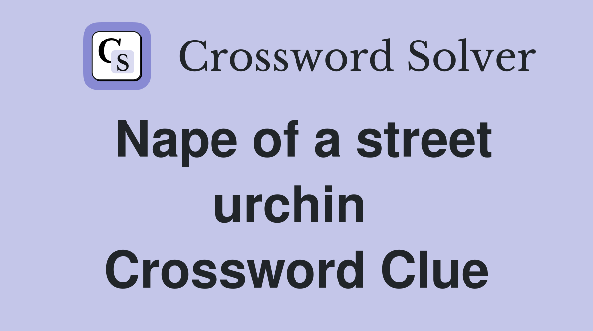 Nape of a street urchin  Crossword Clue