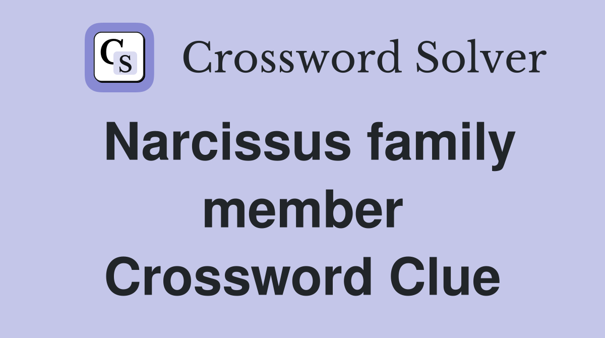 Narcissus family member Crossword Clue