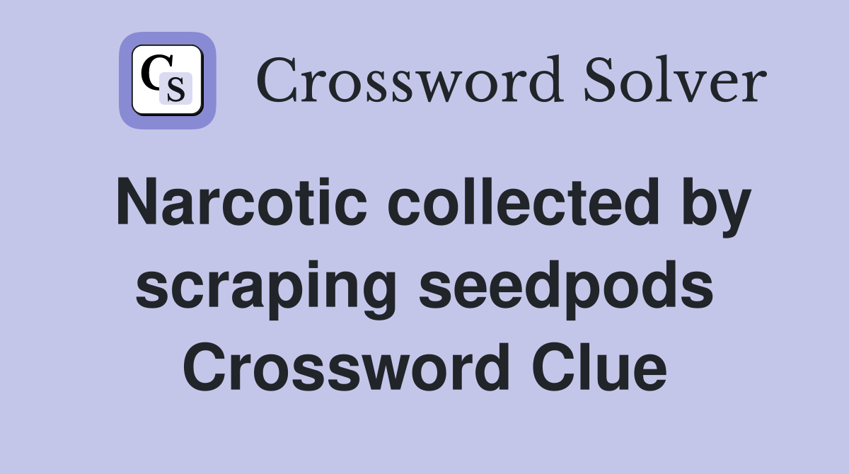 Narcotic collected by scraping seedpods Crossword Clue
