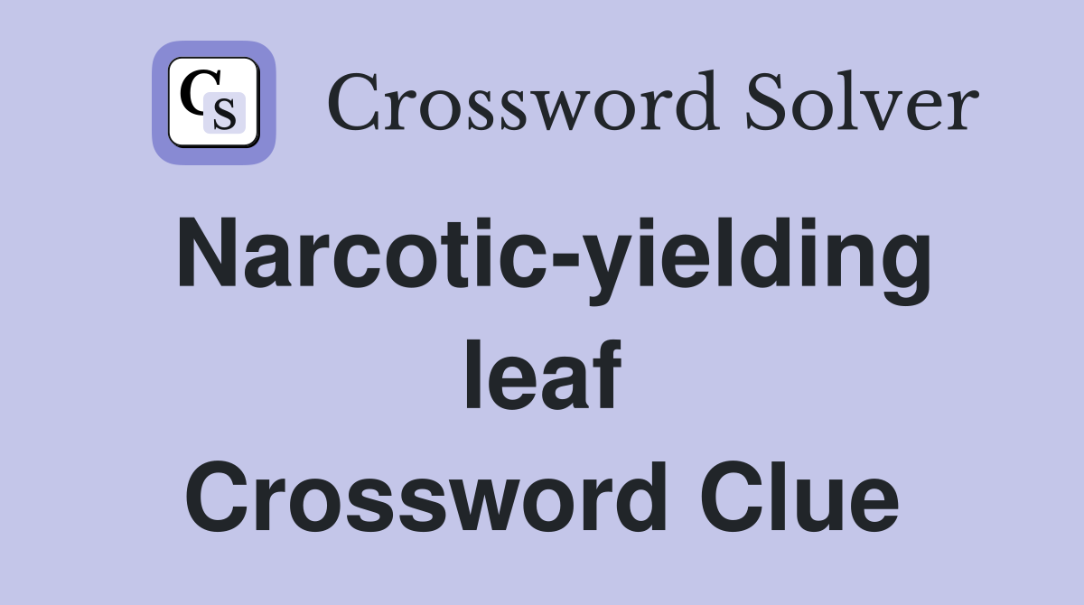 Narcotic-yielding leaf Crossword Clue