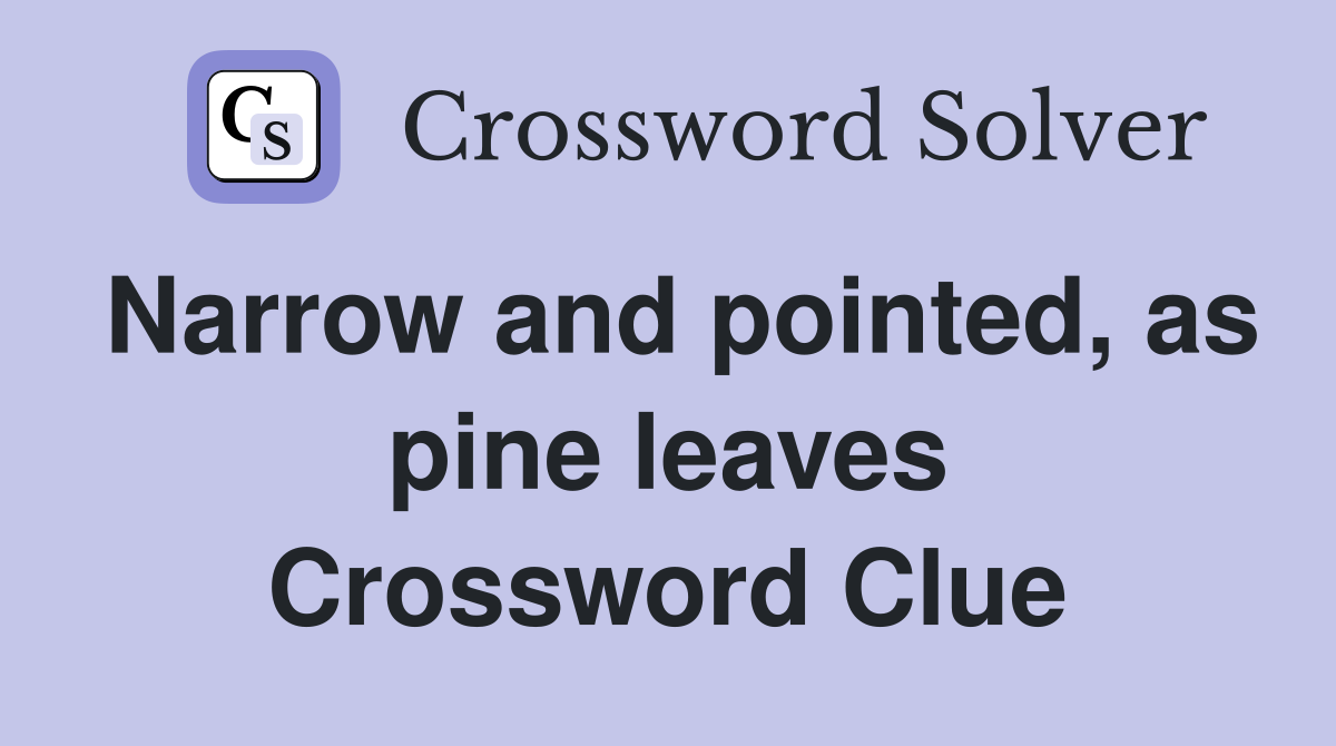 Narrow and pointed, as pine leaves Crossword Clue