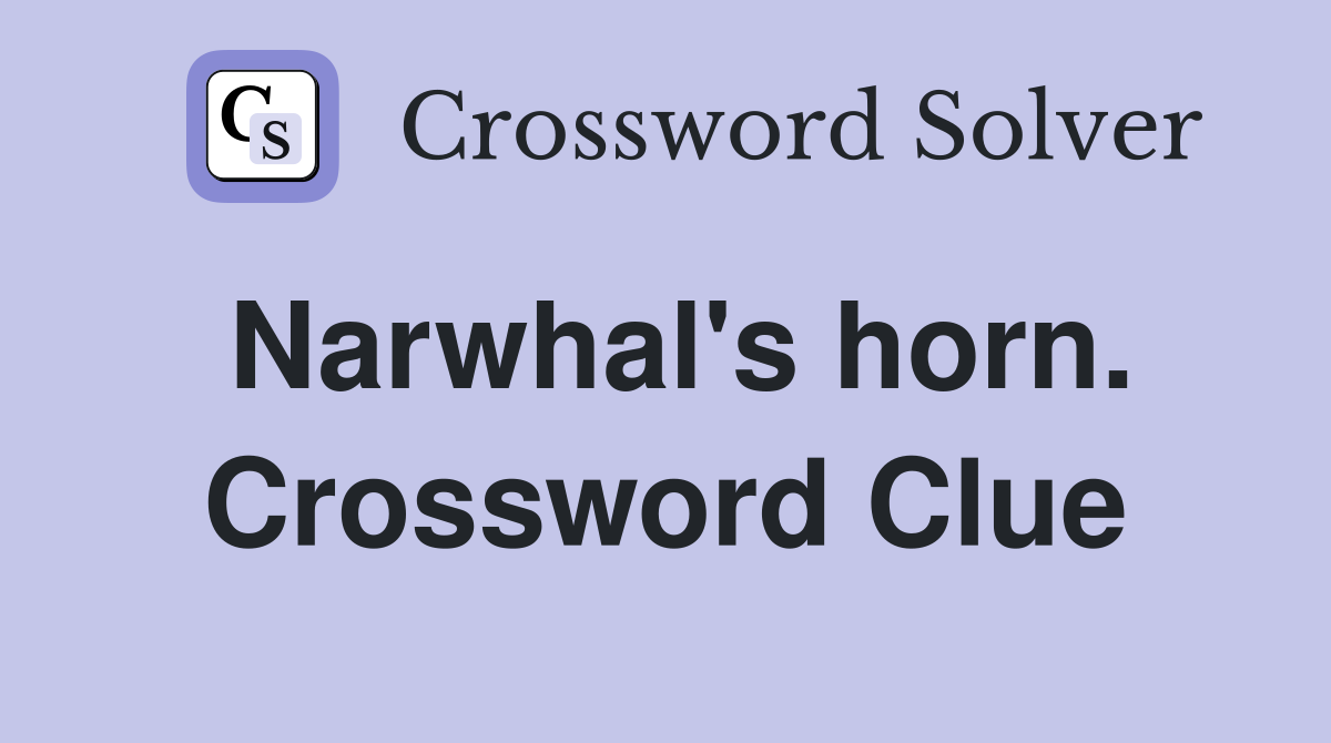 Narwhal's horn. Crossword Clue