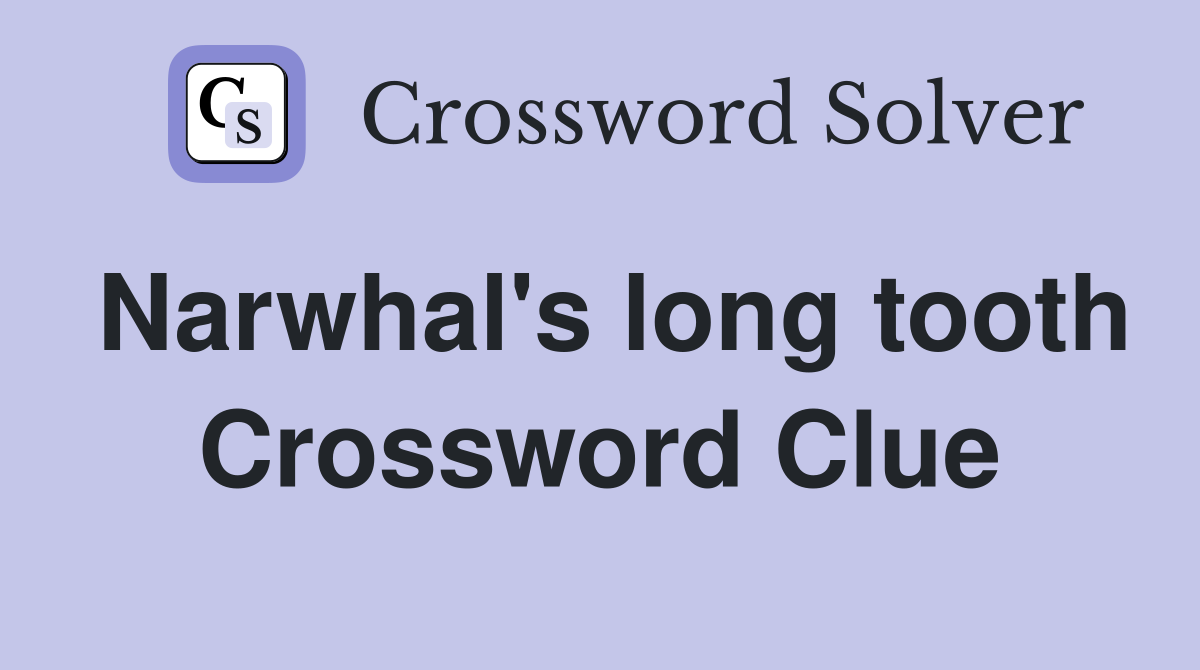 Narwhal's long tooth Crossword Clue