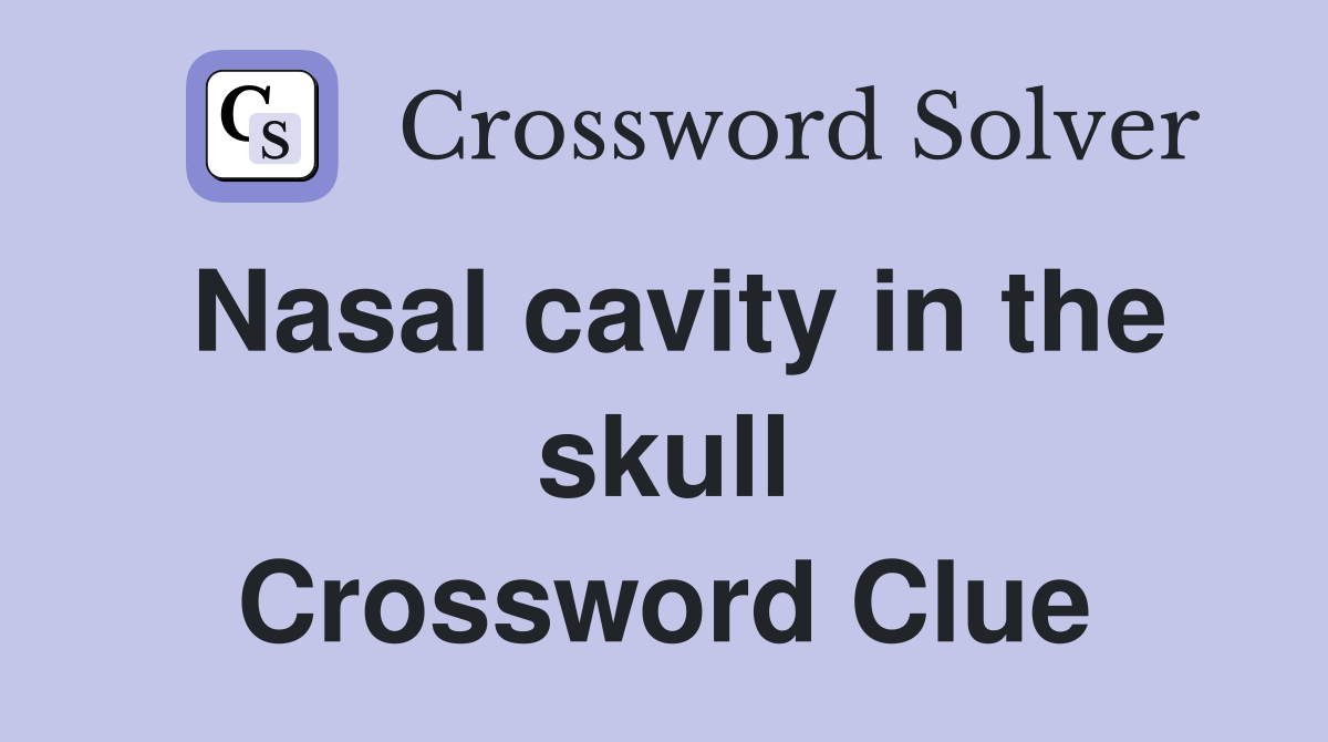 Nasal cavity in the skull Crossword Clue