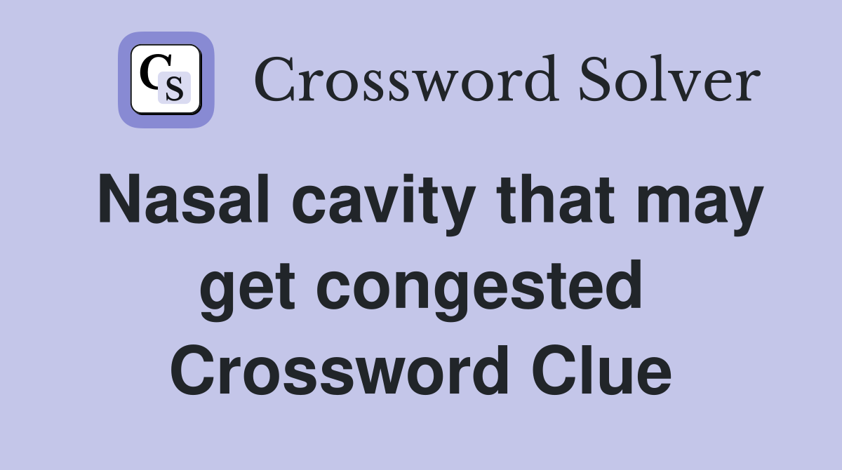 Nasal cavity that may get congested Crossword Clue