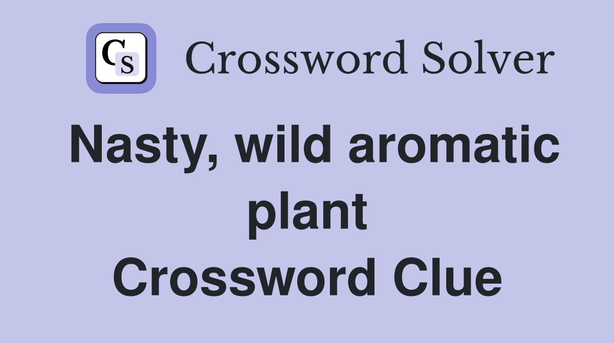 Nasty, wild aromatic plant Crossword Clue