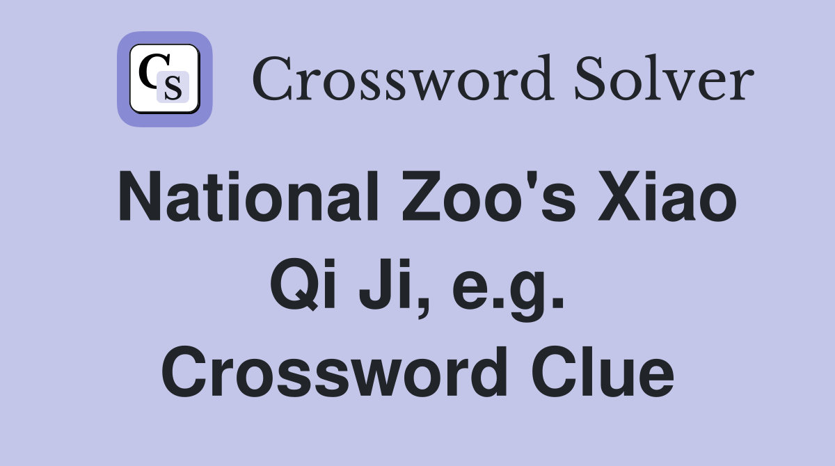 National Zoo's Xiao Qi Ji, e.g. Crossword Clue