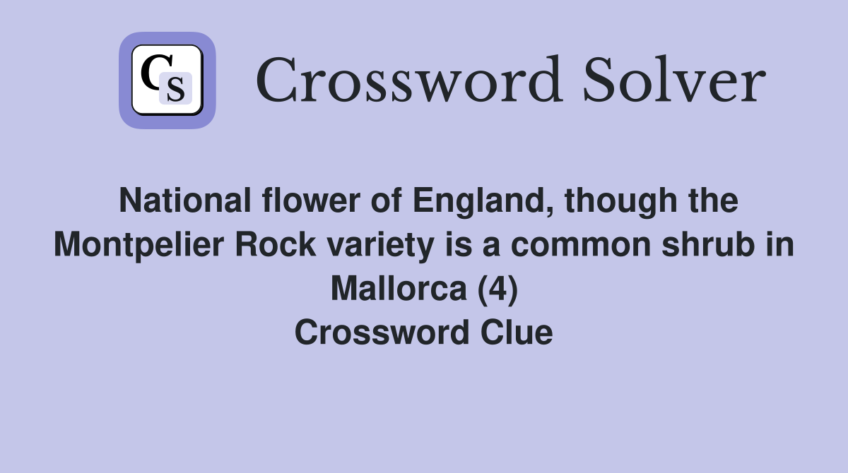 National flower of England, though the Montpelier Rock variety is a common shrub in Mallorca (4) Crossword Clue