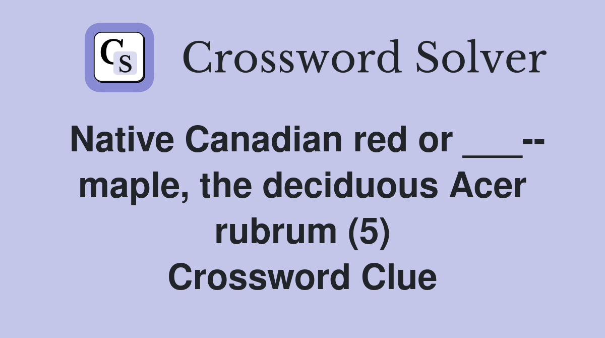 Native Canadian red or ___-- maple, the deciduous Acer rubrum (5) Crossword Clue
