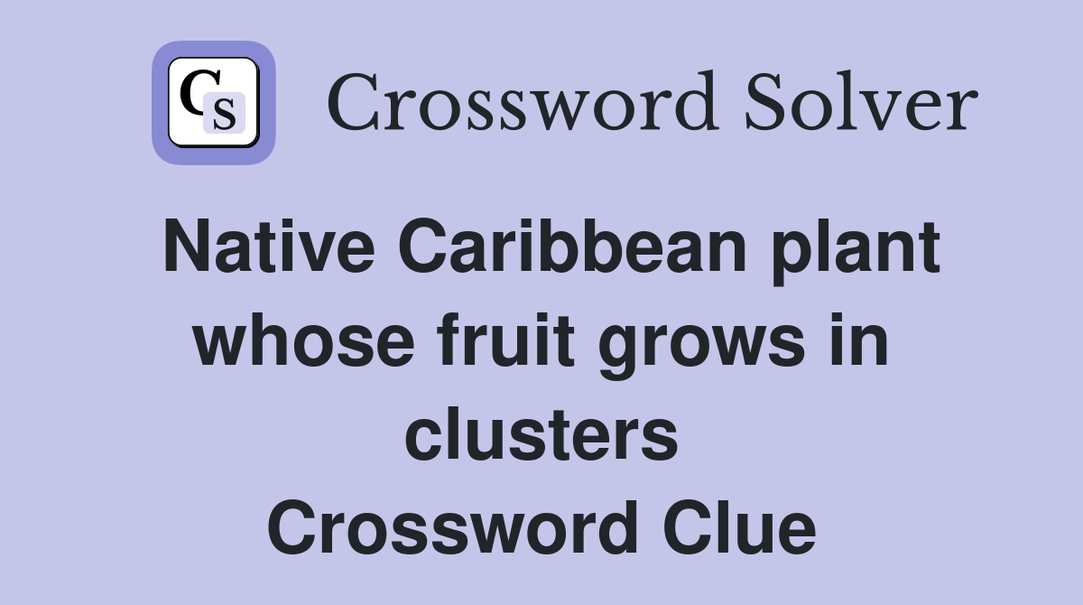 Native Caribbean plant whose fruit grows in clusters Crossword Clue