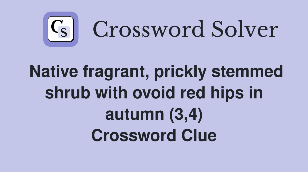 Native fragrant, prickly stemmed shrub with ovoid red hips in autumn (3,4) Crossword Clue