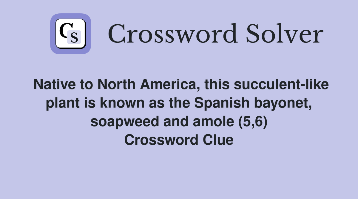 Native to North America, this succulent-like plant is known as the Spanish bayonet, soapweed and amole (5,6) Crossword Clue