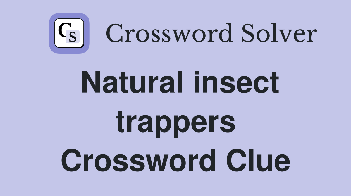 Natural insect trappers Crossword Clue