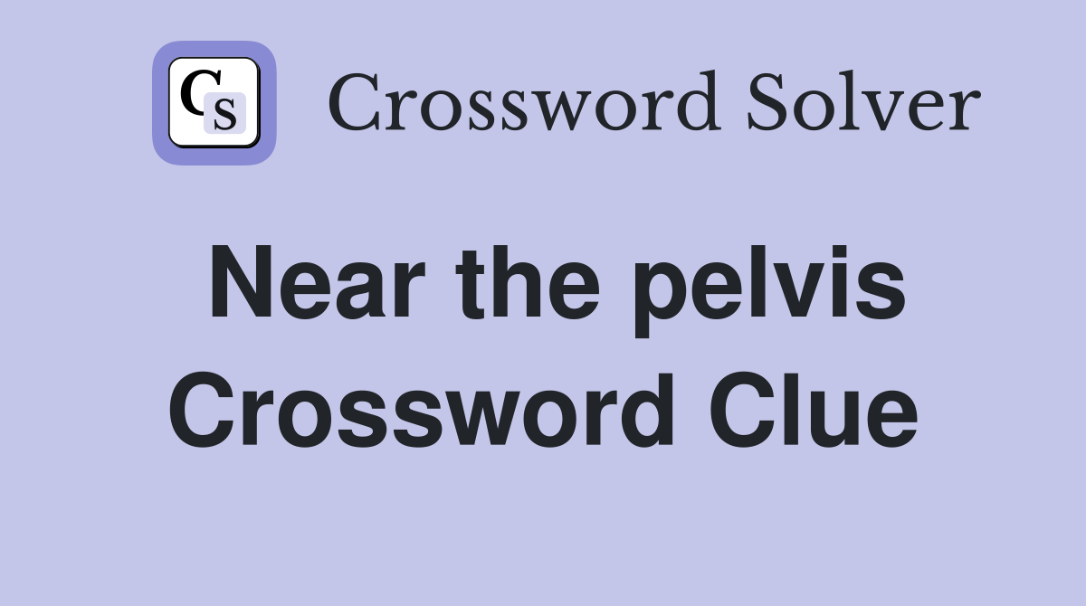 Near the pelvis Crossword Clue
