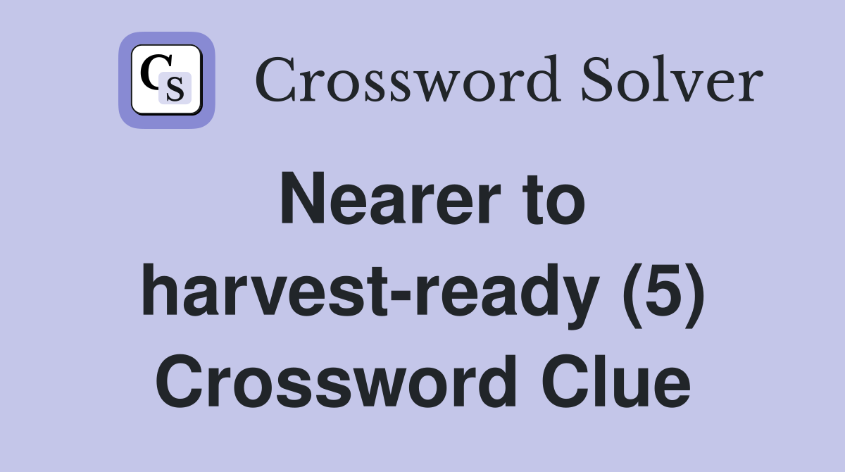 Nearer to harvest-ready (5) Crossword Clue