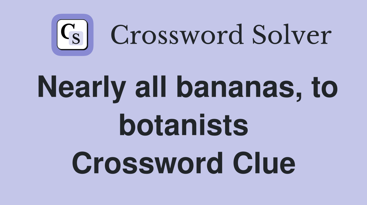 Nearly all bananas, to botanists Crossword Clue