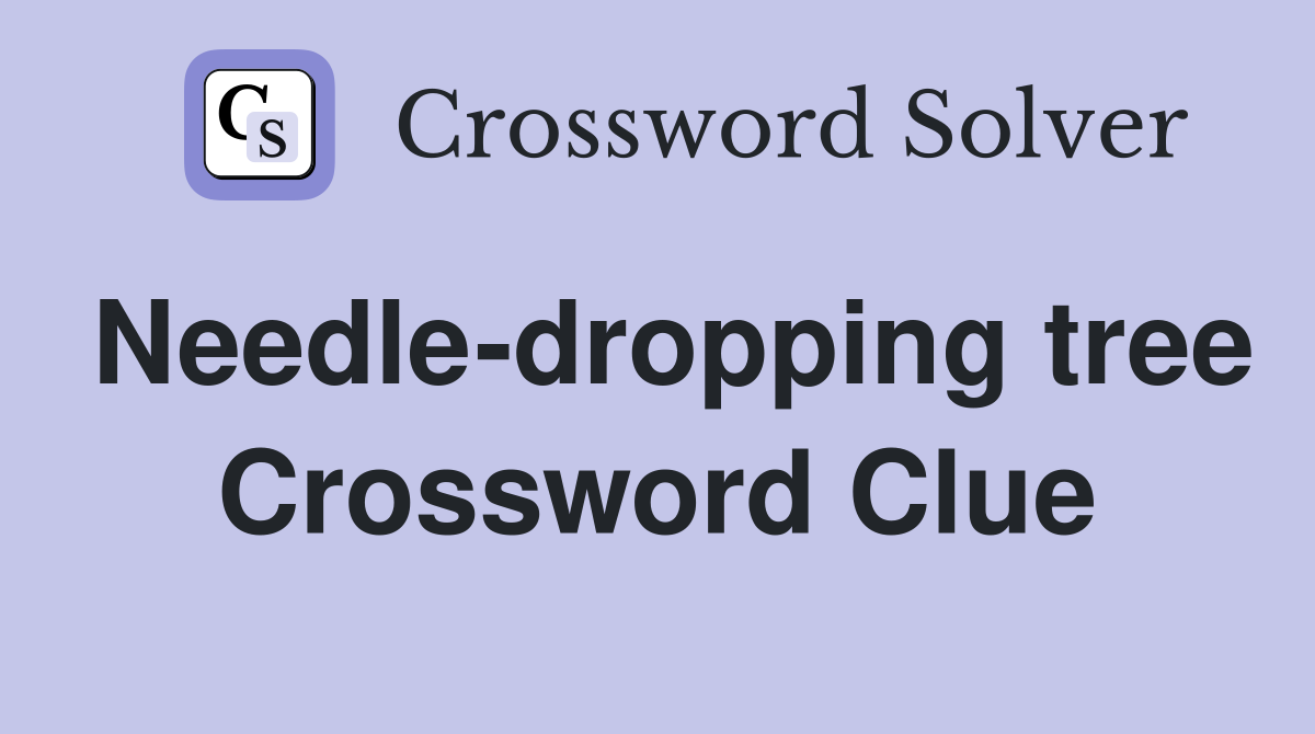 Needle-dropping tree Crossword Clue