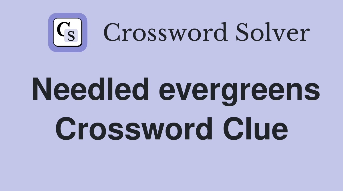 Needled evergreens Crossword Clue