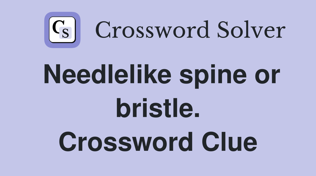 Needlelike spine or bristle. Crossword Clue