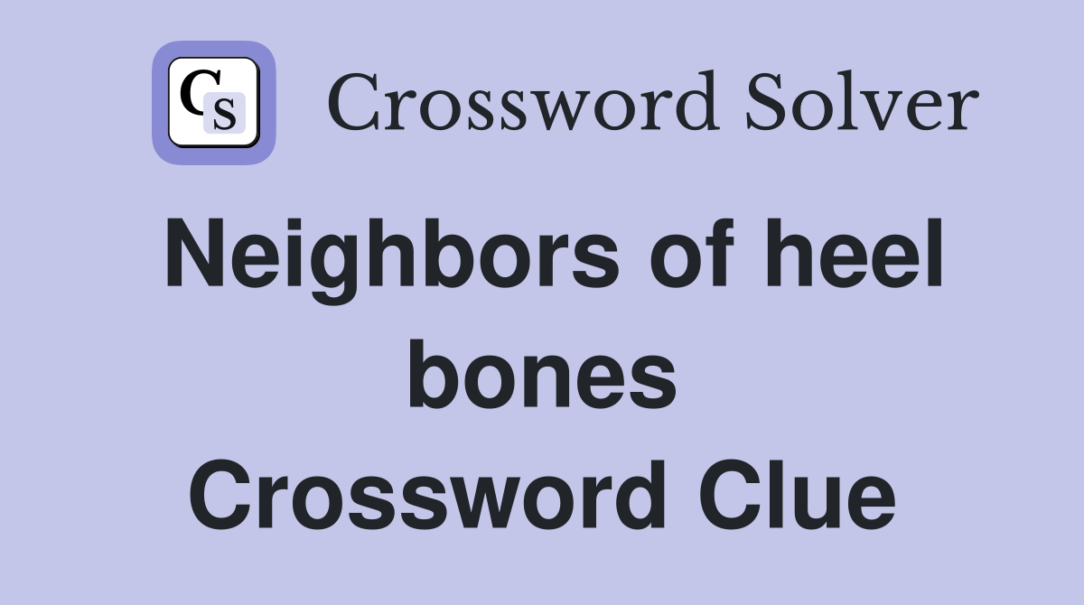 Neighbors of heel bones Crossword Clue