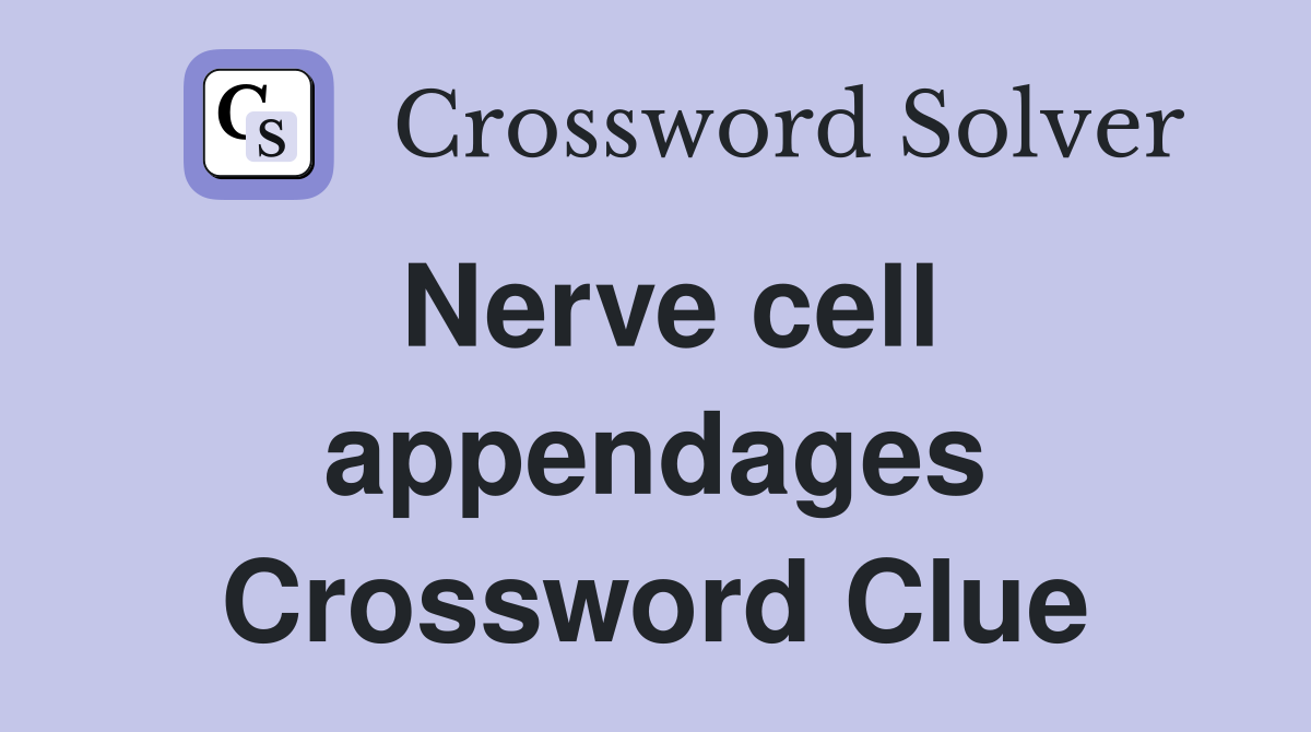 Nerve cell appendages Crossword Clue
