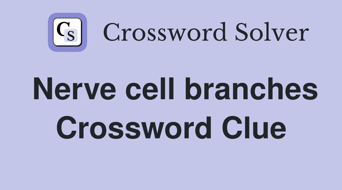 Nerve cell branches Crossword Clue