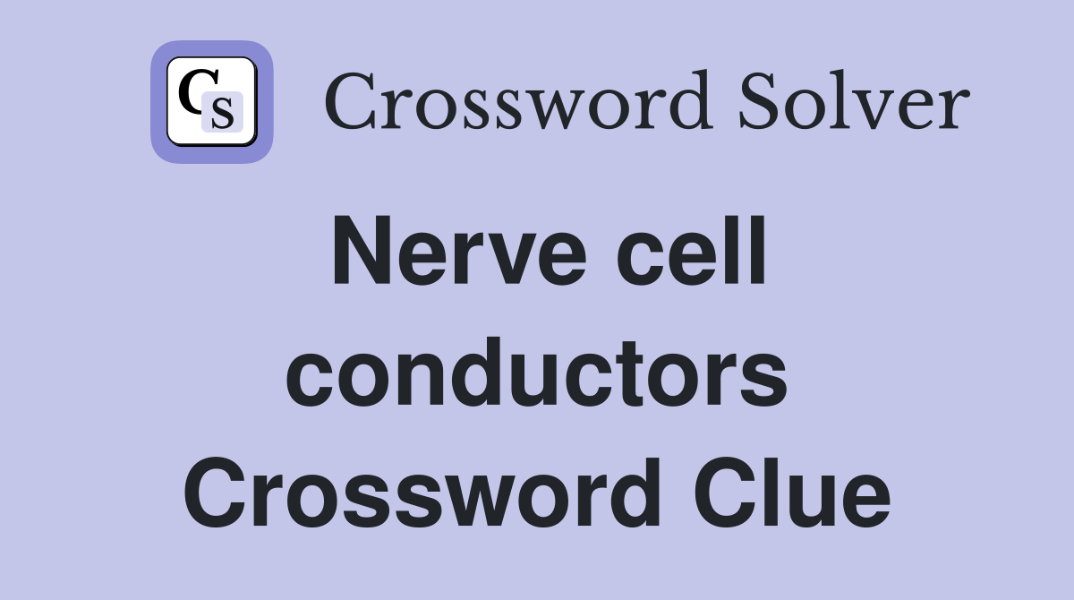 Nerve cell conductors Crossword Clue