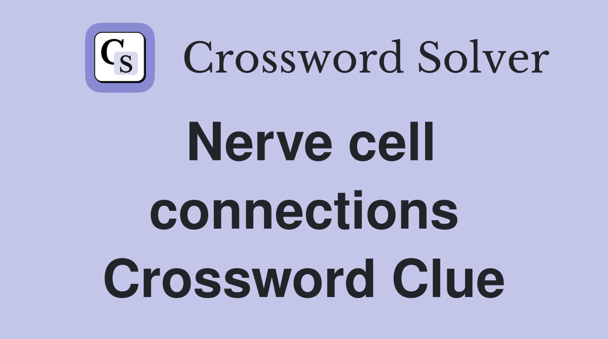 Nerve cell connections Crossword Clue