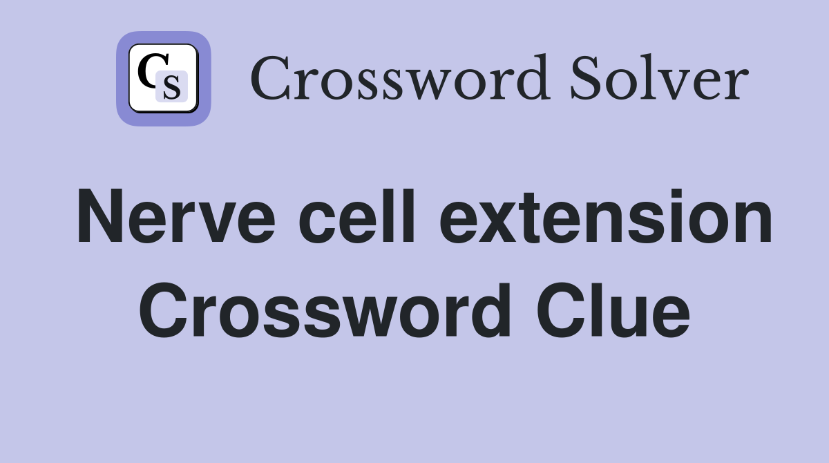 Nerve cell extension Crossword Clue
