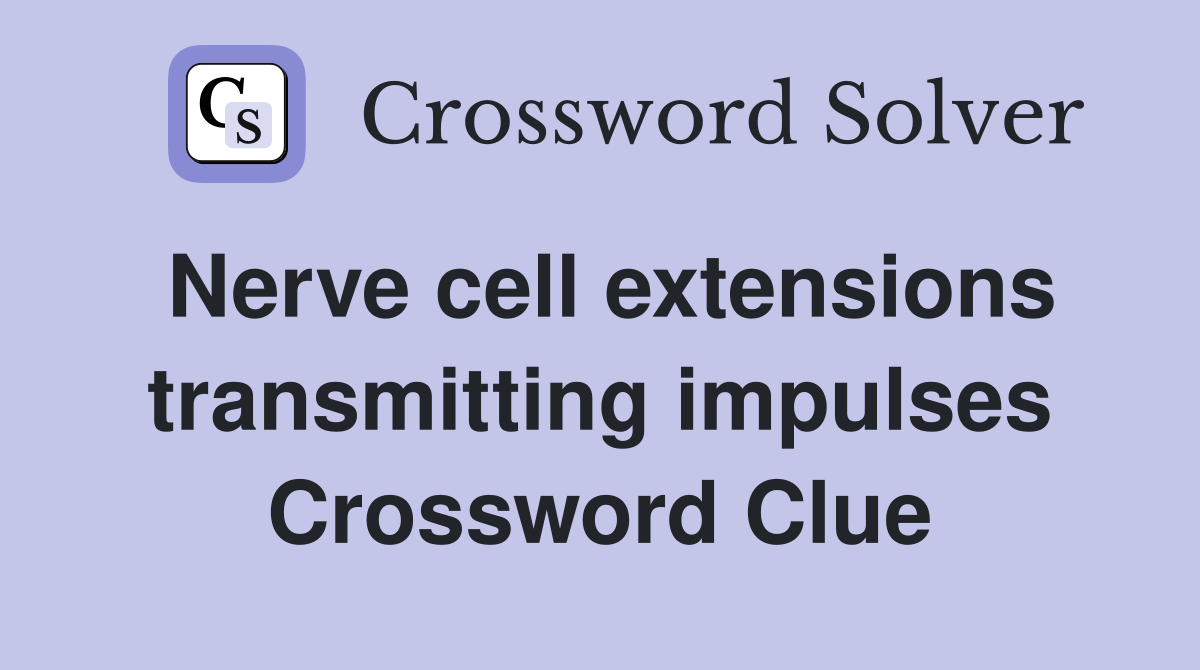 Nerve cell extensions transmitting impulses Crossword Clue