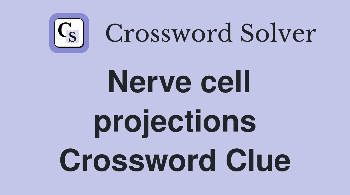 Nerve cell projections Crossword Clue