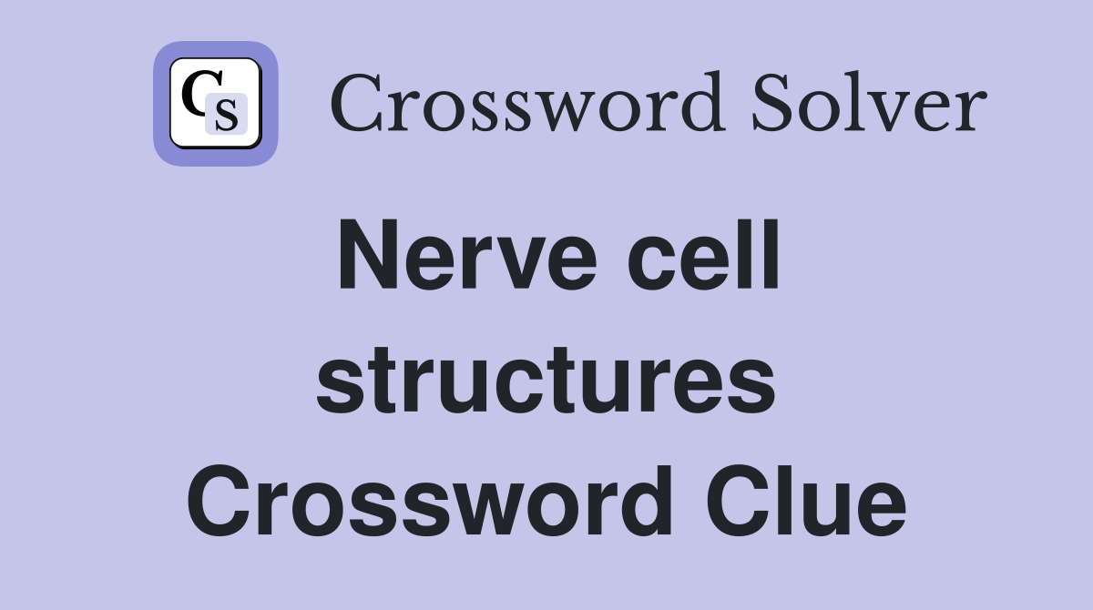 Nerve cell structures Crossword Clue