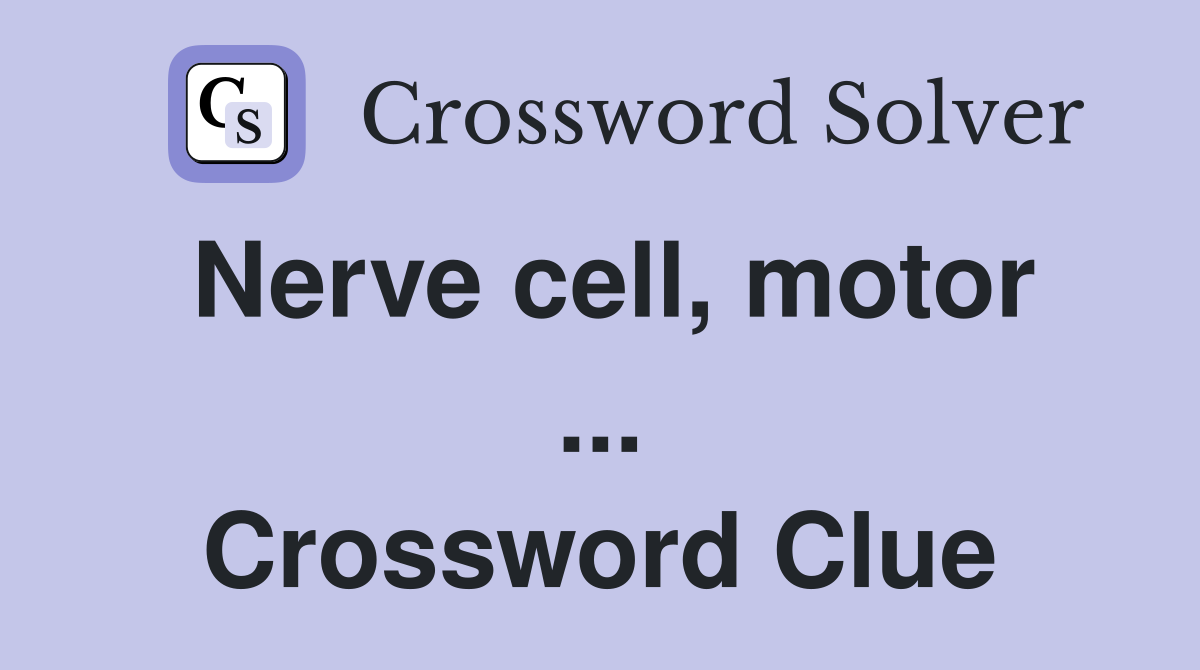 Nerve cell, motor ... Crossword Clue