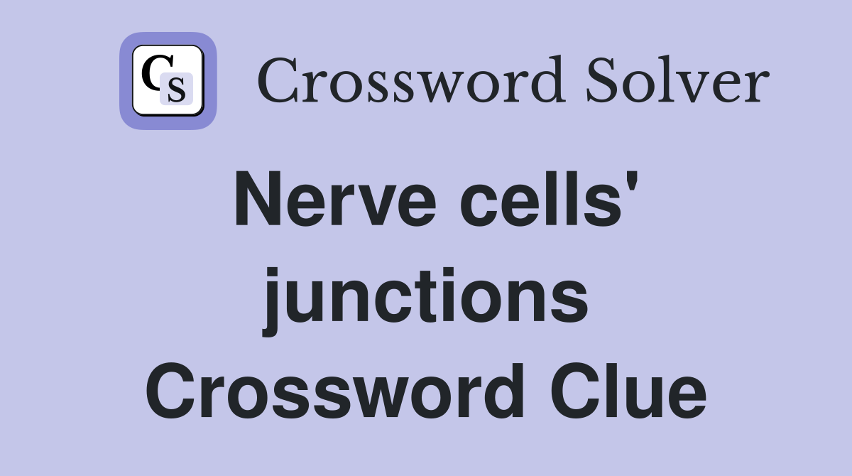 Nerve cells' junctions Crossword Clue