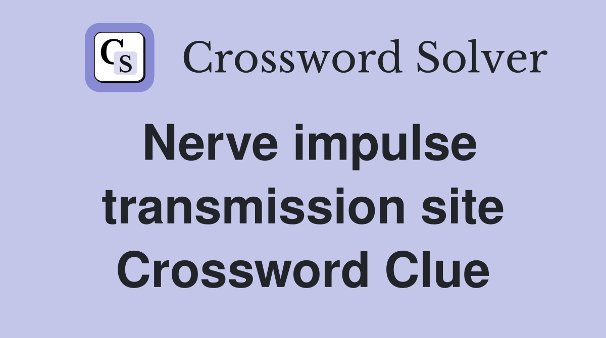 Nerve impulse transmission site Crossword Clue