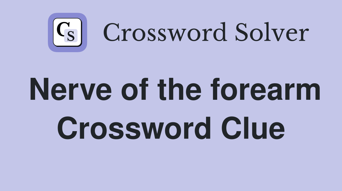 Nerve of the forearm Crossword Clue