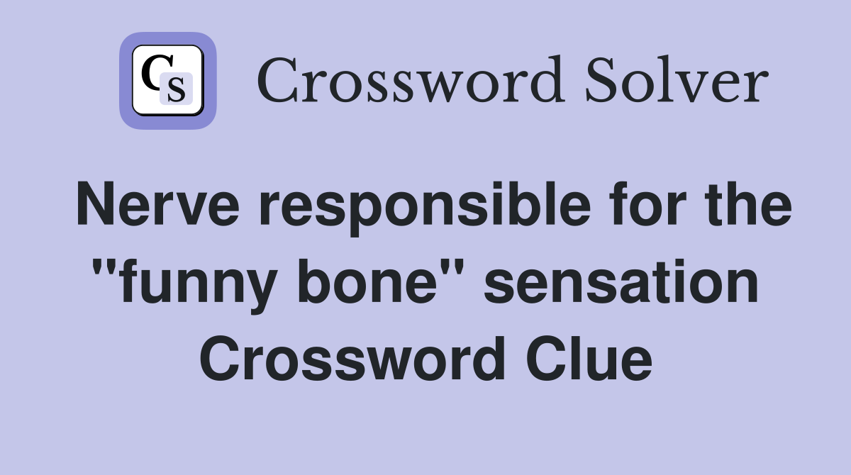 Nerve responsible for the "funny bone" sensation Crossword Clue