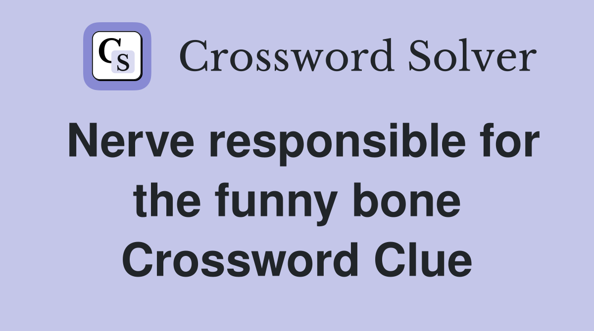 Nerve responsible for the funny bone Crossword Clue