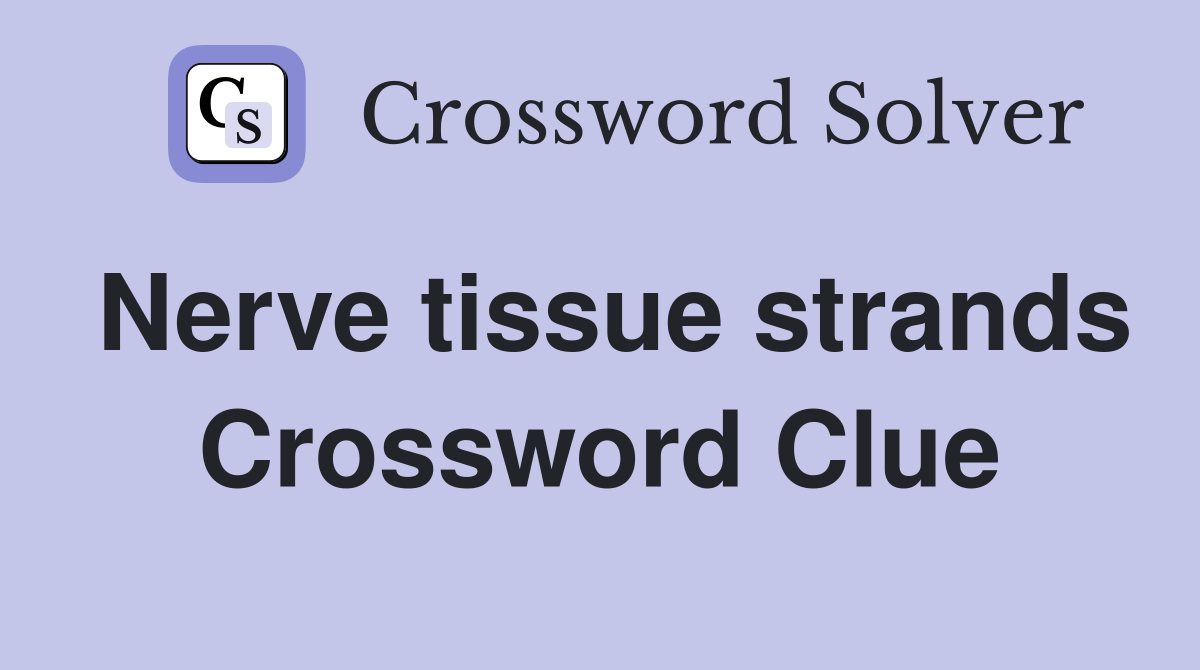 Nerve tissue strands Crossword Clue