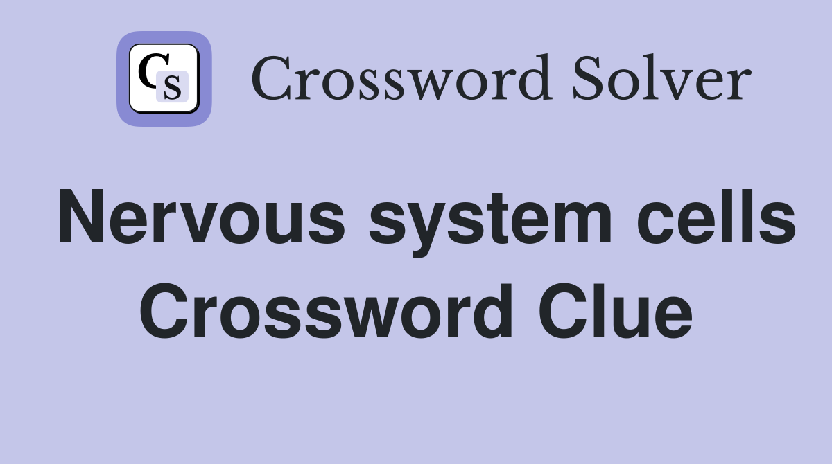 Nervous system cells Crossword Clue