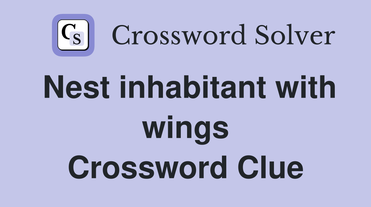 Nest inhabitant with wings Crossword Clue