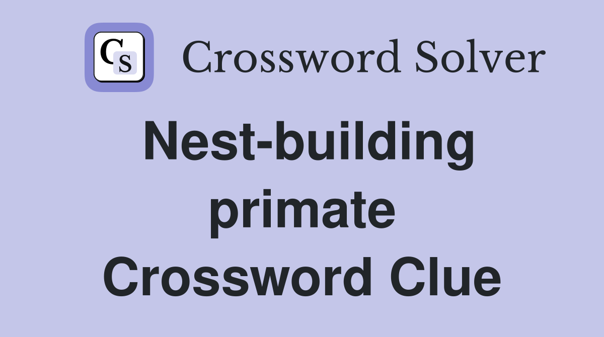Nest-building primate Crossword Clue