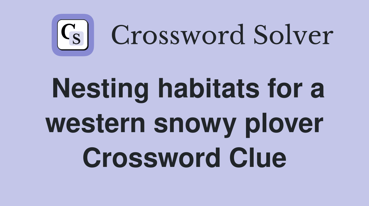 Nesting habitats for a western snowy plover Crossword Clue