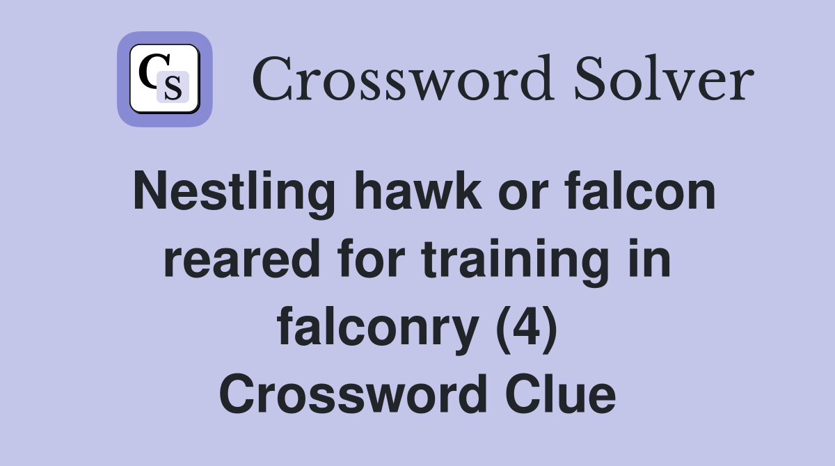 Nestling hawk or falcon reared for training in falconry (4) Crossword Clue