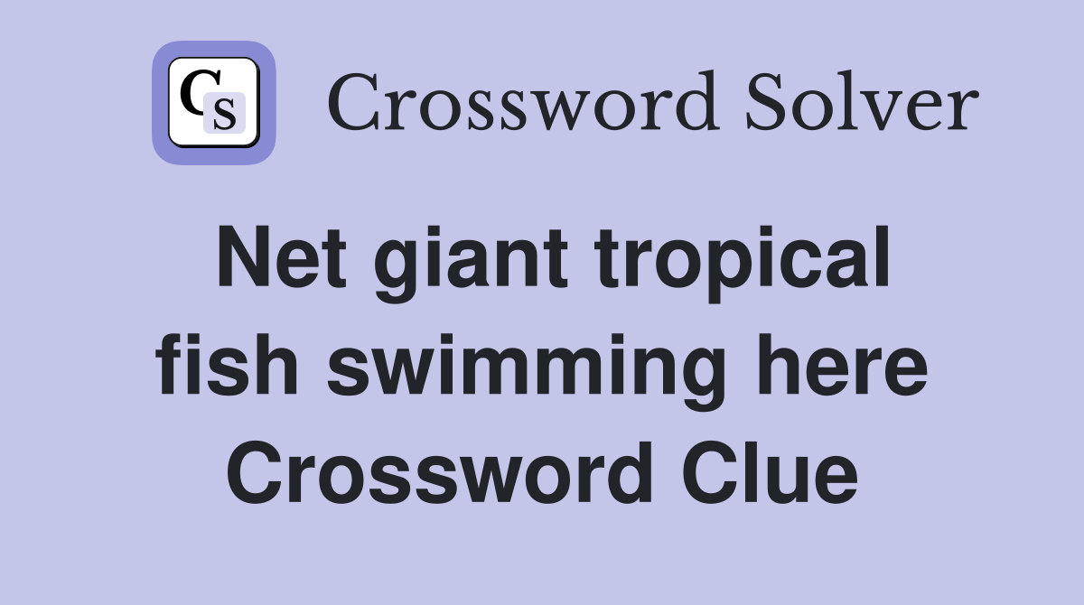Net giant tropical fish swimming here Crossword Clue
