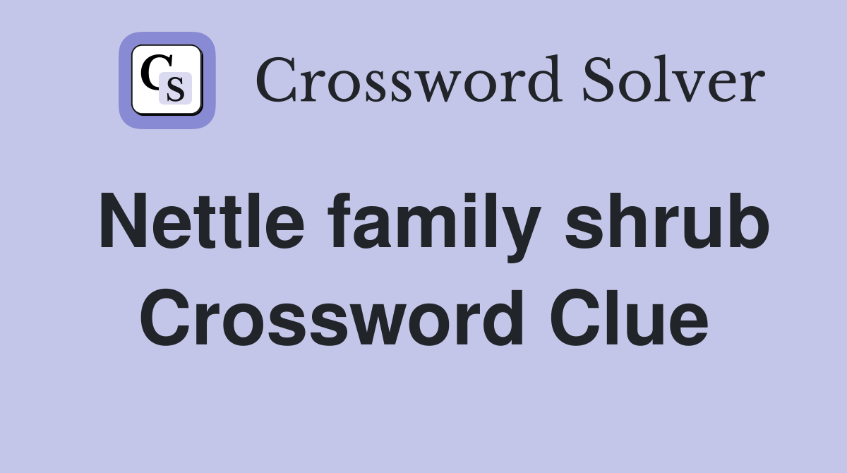 Nettle family shrub Crossword Clue