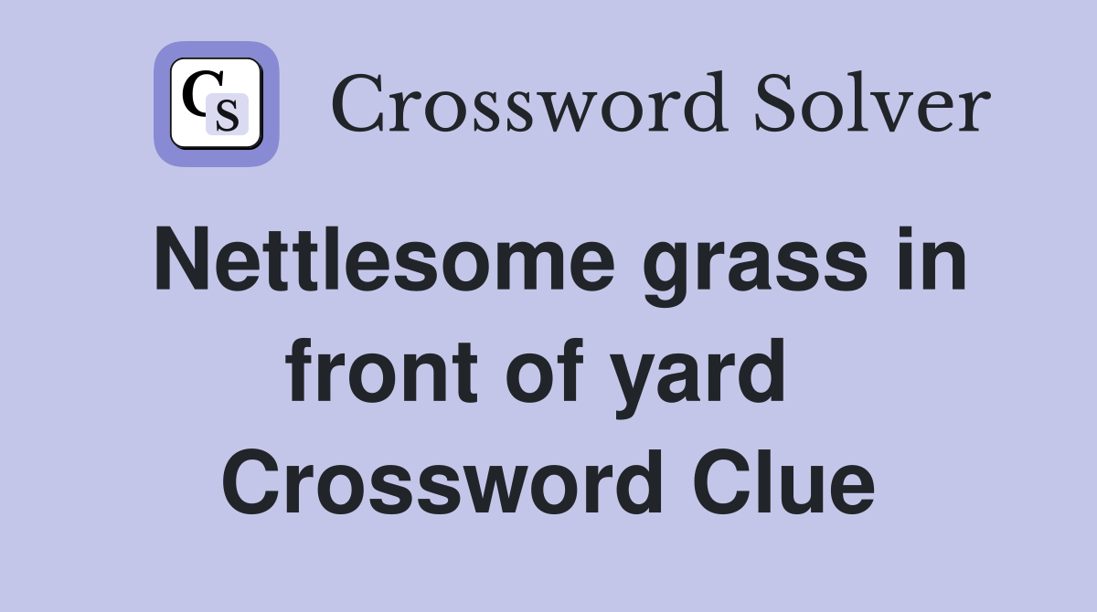 Nettlesome grass in front of yard  Crossword Clue