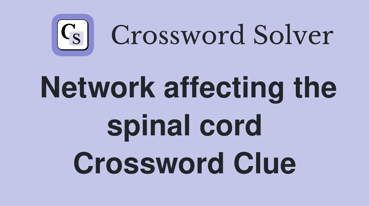 Network affecting the spinal cord Crossword Clue